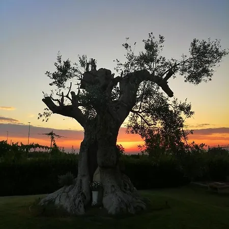 Mareen 圣玛丽亚巴格诺