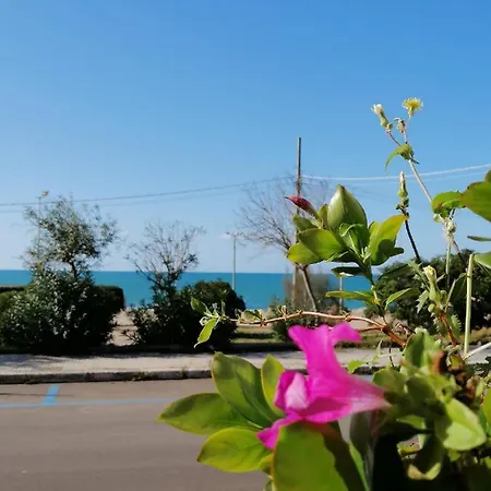 Mareen 圣玛丽亚巴格诺