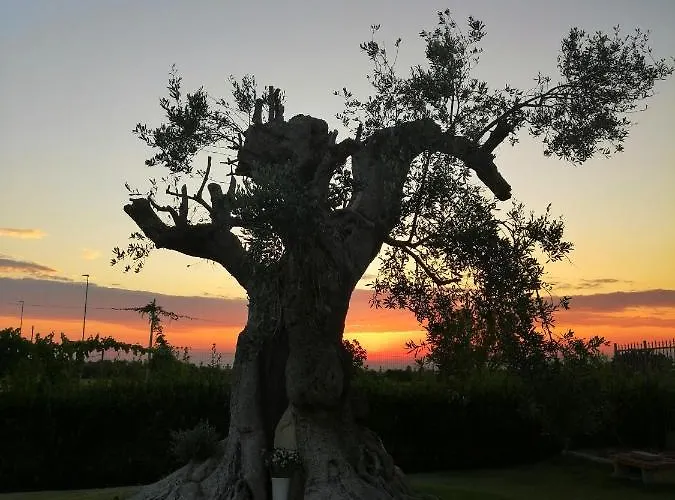 Mareen Santa Maria al Bagno